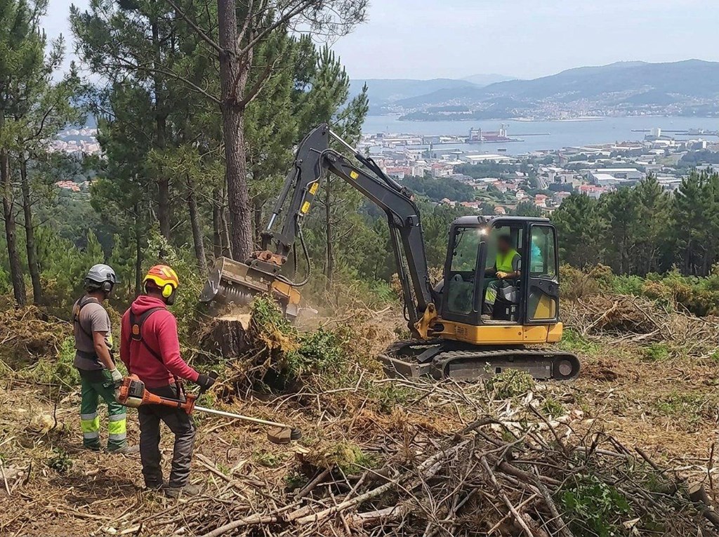 Foto 1 Desbroce y limpieza de parcelas privadas y públicas en Vigo