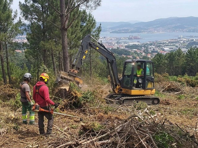 Desbroce y limpieza de parcelas privadas y públicas en Vigo