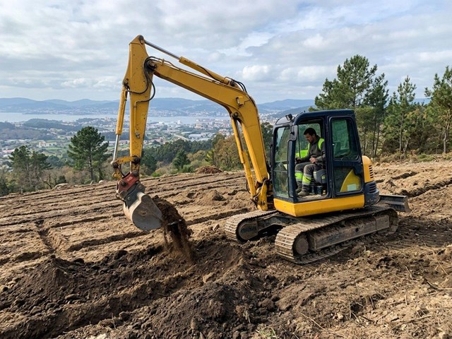 Preparación de terrenos para viñedo con excavadora en Vigo